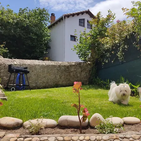 Casa Dolfin - 