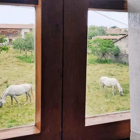 Landhaus Casa Dolfin - 